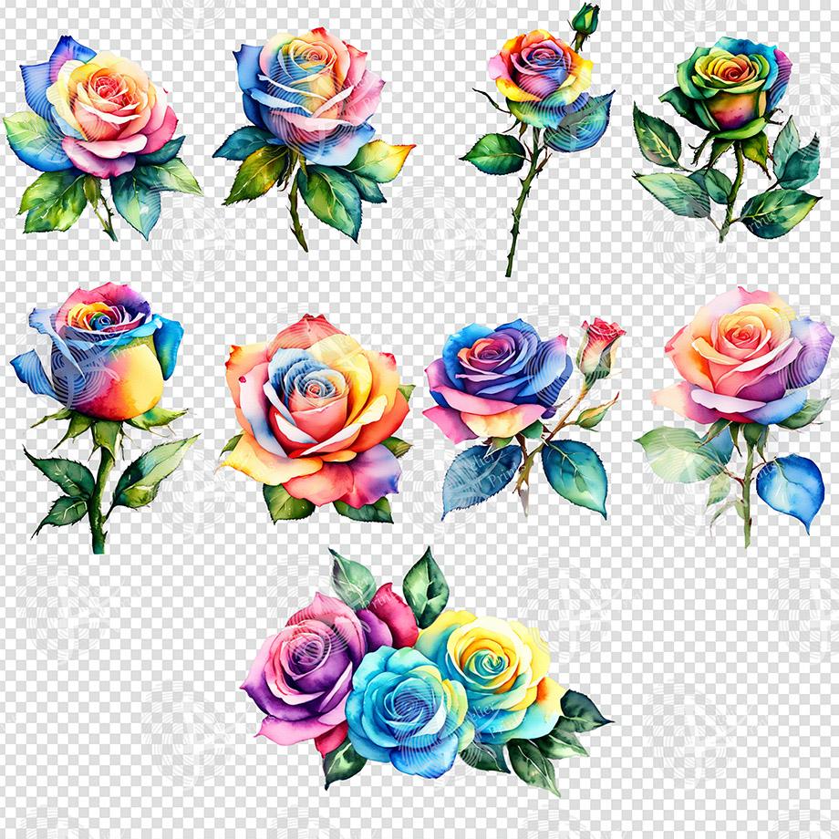 Watercolor Rainbow Rose Clipart, Multi Color Roses and Rose Buds ...