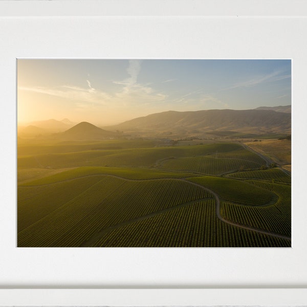 aerial california vineyards / San Luis Obispo / edna valley winery / sunset mountain photography / digital print
