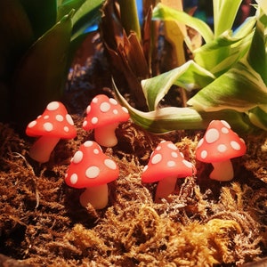 Three (3) Handmade miniature toadstools that glow in the dark! A decoration perfect for terrariums, fairy gardens and plant pots.