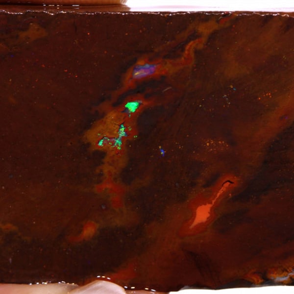 Natural Australian Koroit Boulder "Elusive Claim" Opal Rough - 74ct
