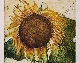 Mom’s Sunflower 3
