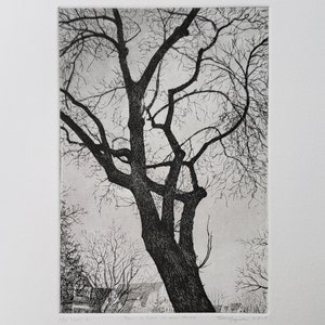 Print - Etching and aquatint - Tree in Front of Our House