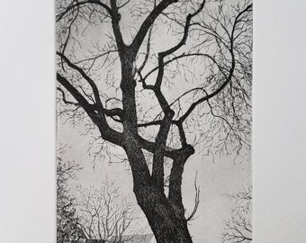 Print - Etching and aquatint - Tree in Front of Our House