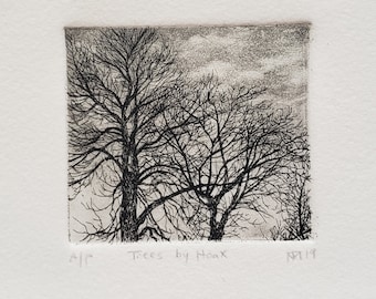 Print - Etching and aquatint - Trees by Hoax Gallery