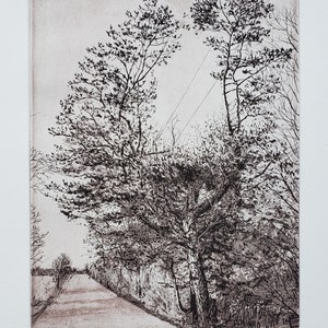 Print - Etching - Aquatint- Tree in Fredonia