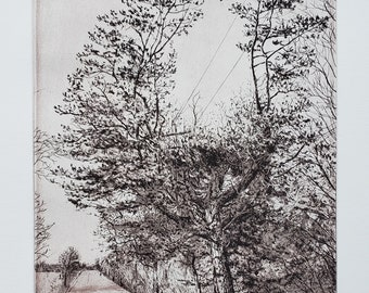 Print - Etching - Aquatint- Tree in Fredonia