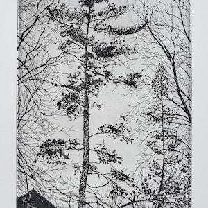 Print - Etching - Aquatint- Trees in Kohler