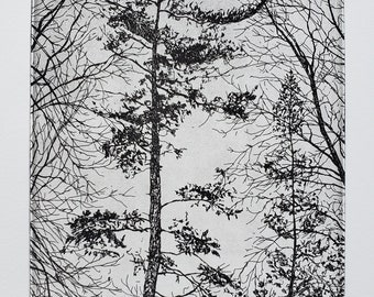 Print - Etching - Aquatint- Trees in Kohler