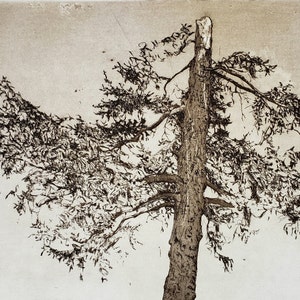 Print - Etching - Aquatint- And Still it Grows