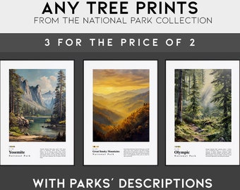 National Park Poster Set of 3 | Travel Prints | Painting Style Outdoorsy Wall Art Decor Gift