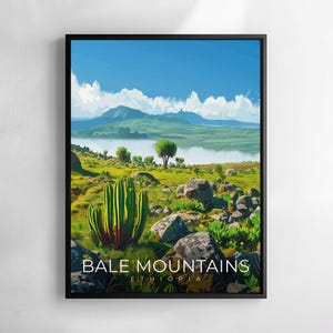 May include: A framed art print depicting the Bale Mountains in Ethiopia. The artwork shows a green landscape with rocks, a lake, and mountains under a blue sky with clouds. The text "BALE MOUNTAINS ETHIOPIA" is at the bottom.