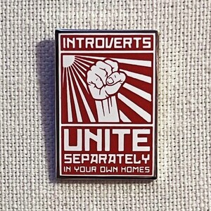 Introverta förenas separat i dina egna hem Metall Pin Anstecker Abzeichen Sarkastisch Spruch