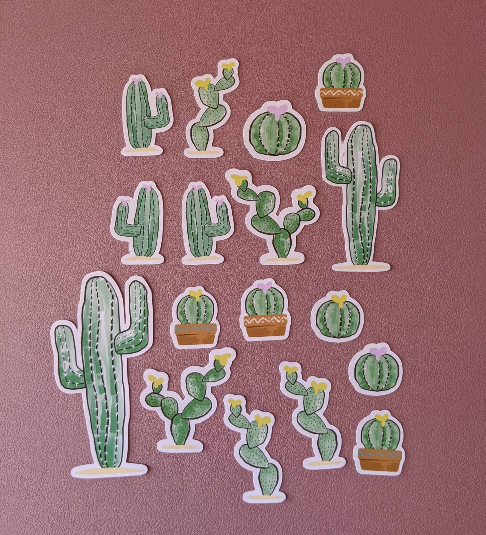 Various Desert Cacti Sticker Pack Etsy