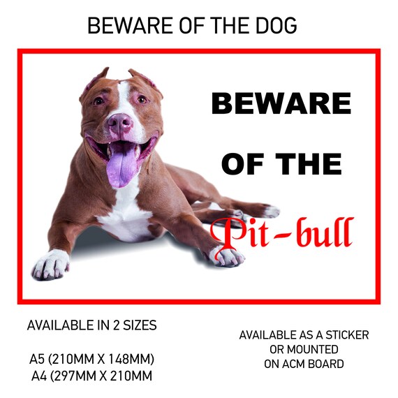 DS45 Funny Beware of the PitBull 1 Hund Vinyl Auto Van Aufkleber