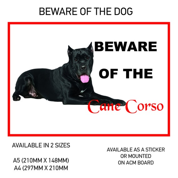 DS06 Funny Beware of the Cane Corso Hund Vinyl Auto Van Aufkleber