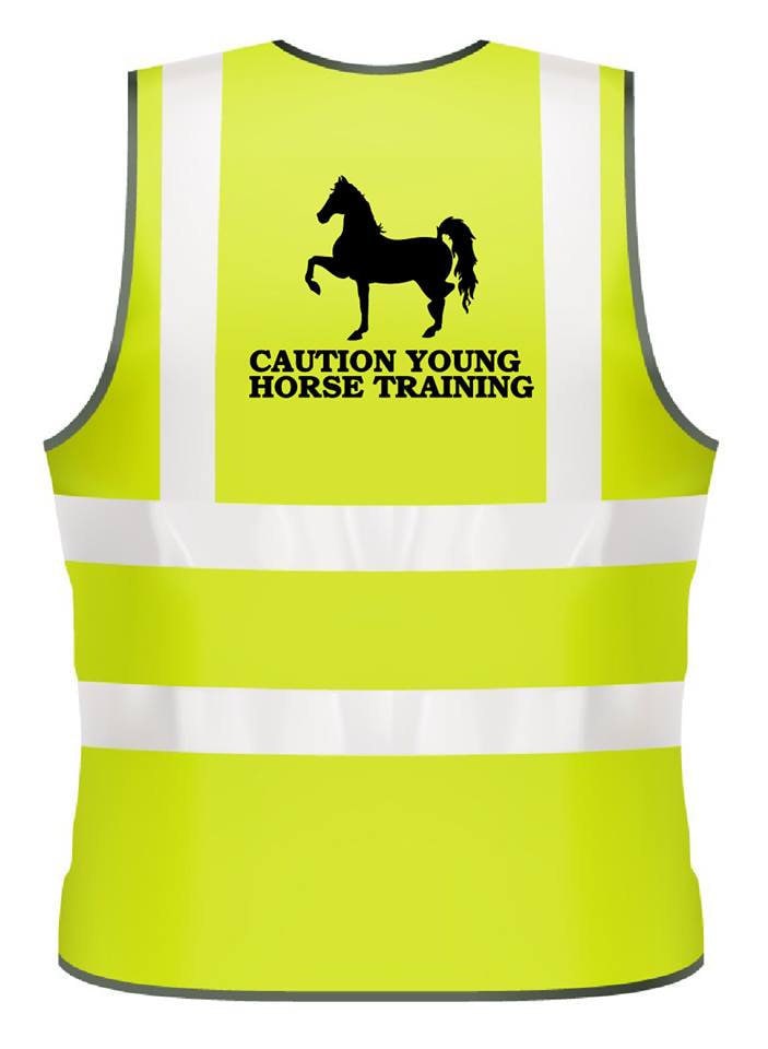 Gilet Riflettente Hi-vis Cavallo Gilet Ad Alta Visibilità YOUNG HORSE TRAINING - Riflettente, Giallo Fluo, Taglia S, Per Equitazione Primer Viso