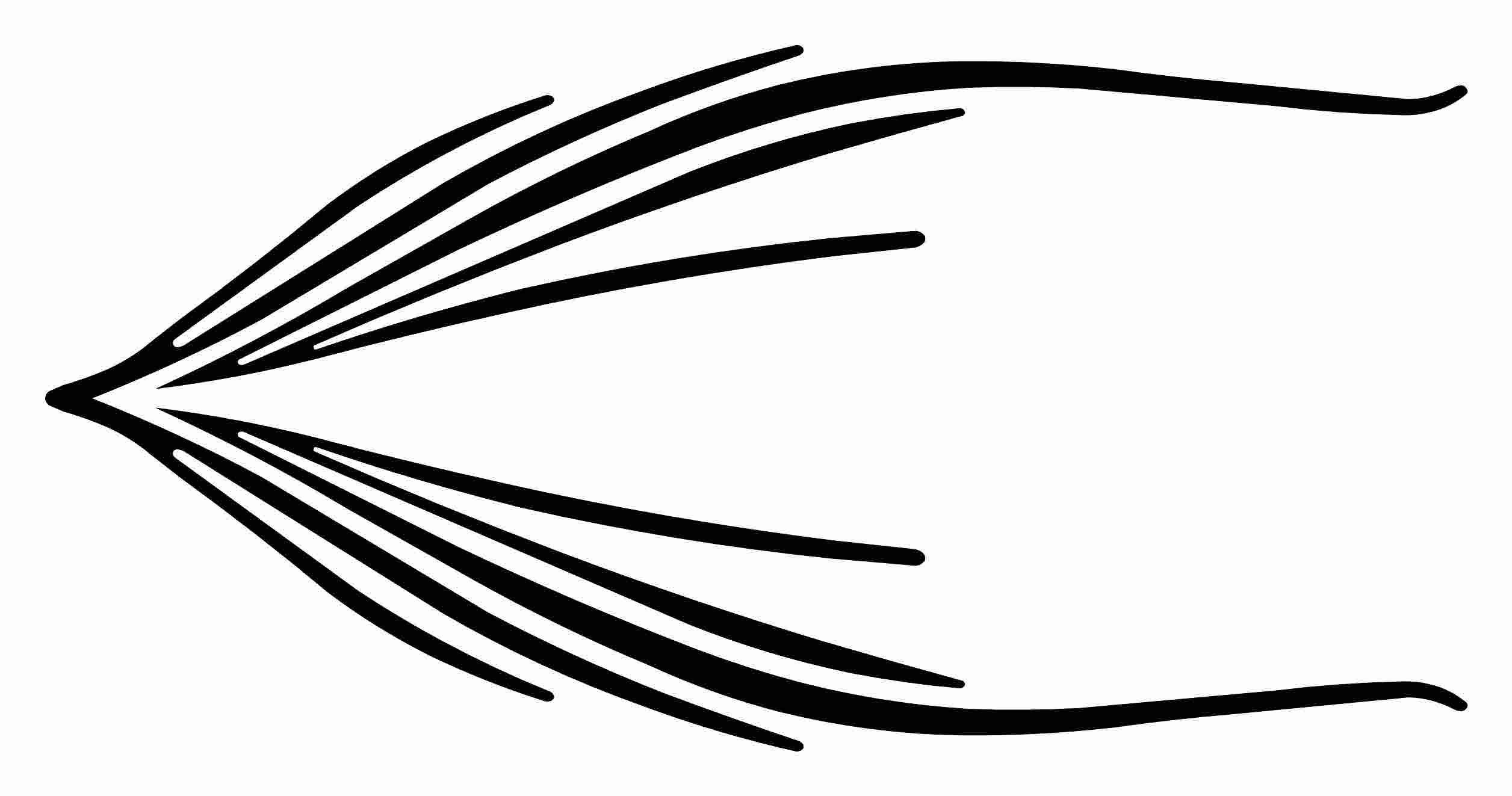 Car Pinstripe Decals Etsy UK