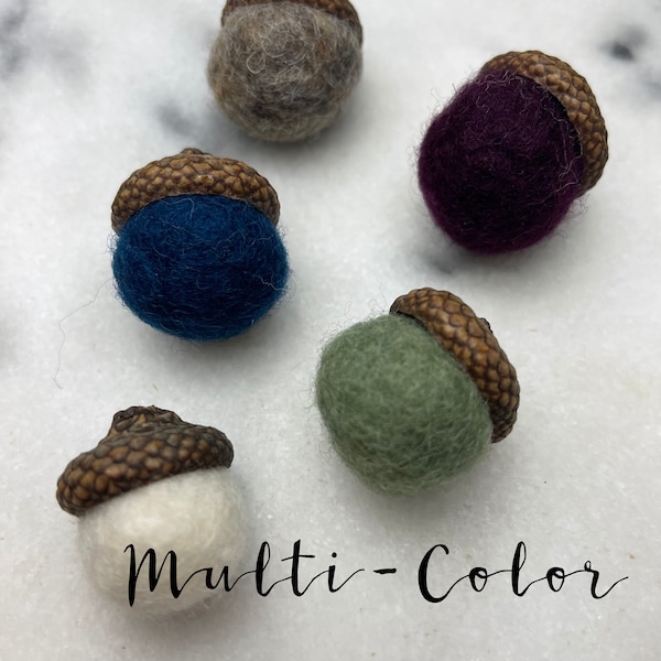 Wet Felting Acorn Craft Kit, Learn to Wet Felt Natural Gift for Children, All supplies and instructions included to make 10 felted acorns