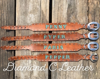 western style dog collars
