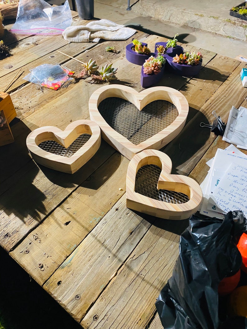 Succulent Arrangement  Succulent Planter  Succulent image 4