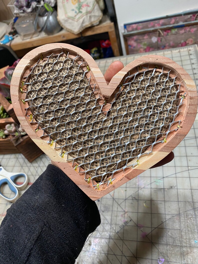 Succulent Arrangement  Succulent Planter  Succulent image 5