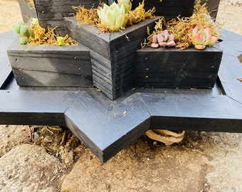 Succulent Arrangement, Succulent Centerpiece , Succulent planter