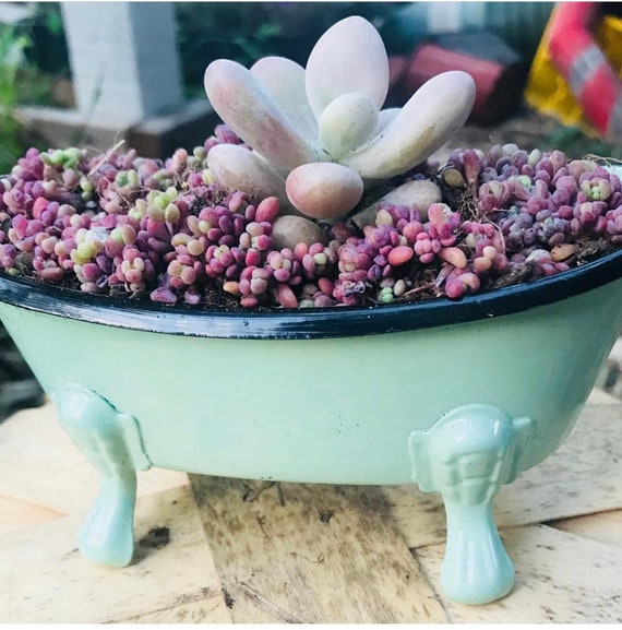 Whitewashed Wood Floral Decor Mothers Day Planter Mom Planter