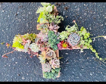 A Succulent cross planter, succulent arrangement , succulent gifts , sympathy gifts , easter decor ,