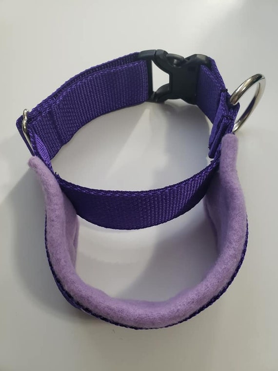 flyball collar