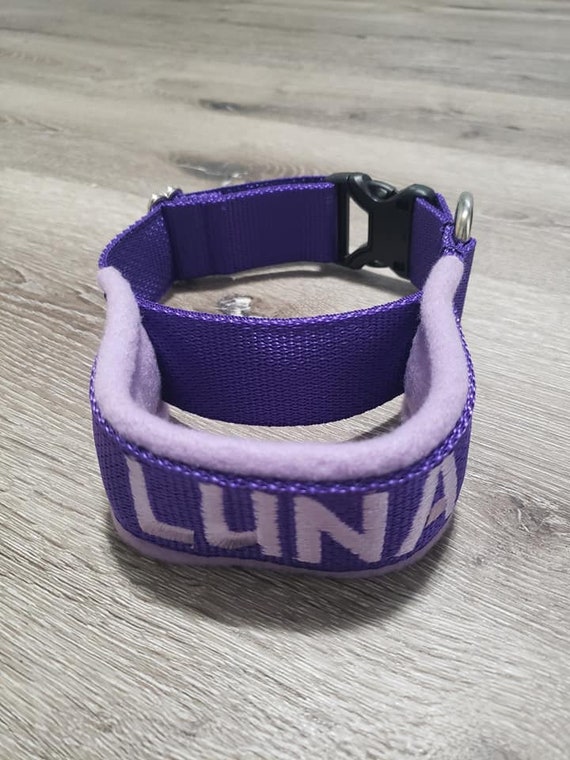flyball collar