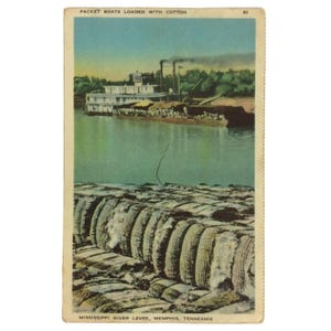 Cartolina di Cotton Packet Boats Mississippi Levee Memphis Tennessee Divided Back