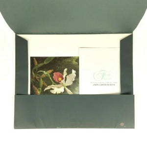 Amon Carter Museum 1988 Fruit Flowers Art Prints Portfolio 16x20 Set di 5