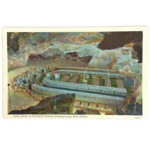 Vintage Postcard Lunch Room Carlsbad Caverns National Park NM White Border