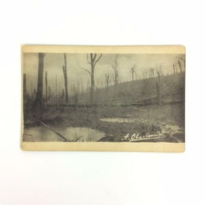 Carte postale française vintage des années 1910 Un chevalier, scène d'arbres nus et de marais