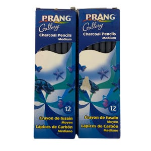Prang Gallery DIX60200 Peel Off Charcoal Pencils 2 Boxes of 12 Medium Grade