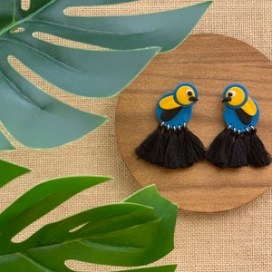 Blue and Yellow Bird