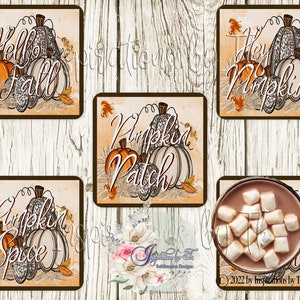 Pumpkin Patch Fall/Autumn Square Coaster Design, Pumpkin Coasters, Set of 4 Designs, Farmhouse Design, Sublimation Download, Diseño Digital