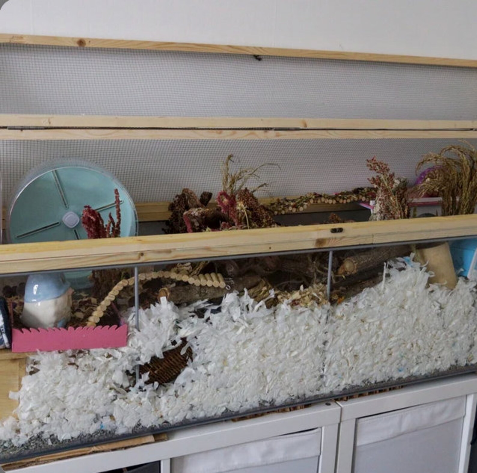 Detolf Cage Lid Etsy UK