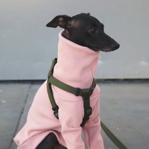 lurcher onesie