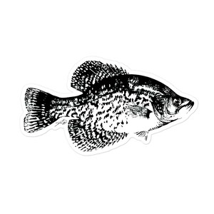 Crappie Sticker
