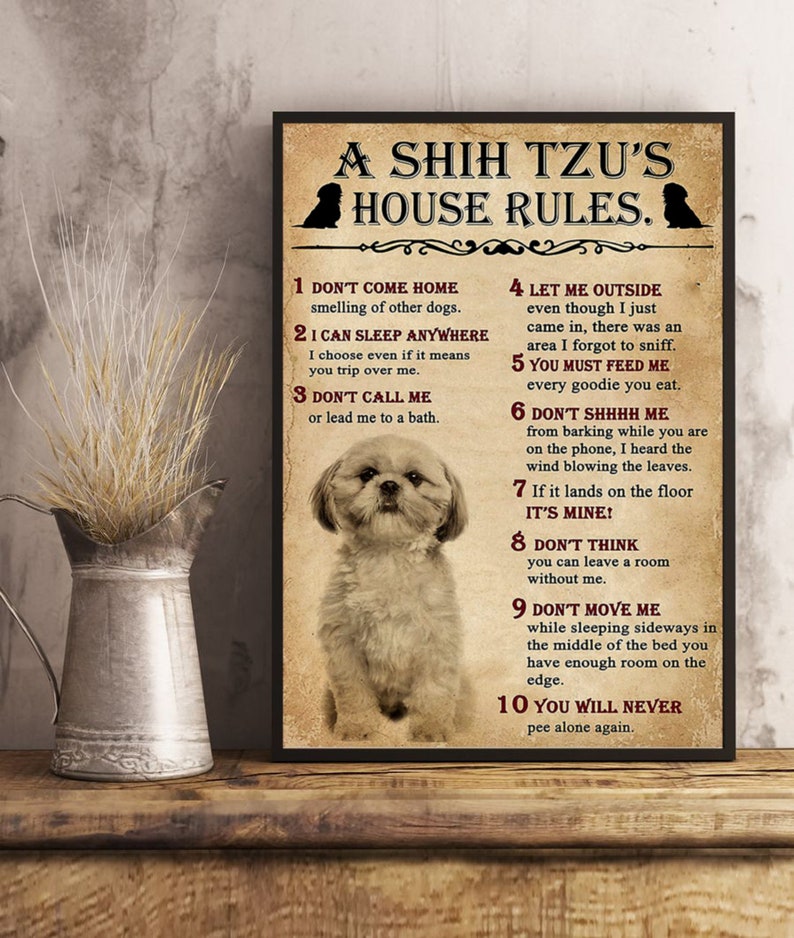 A Shih Tzu House Rules Knowledge Poster Living Home Décor Wall Etsy