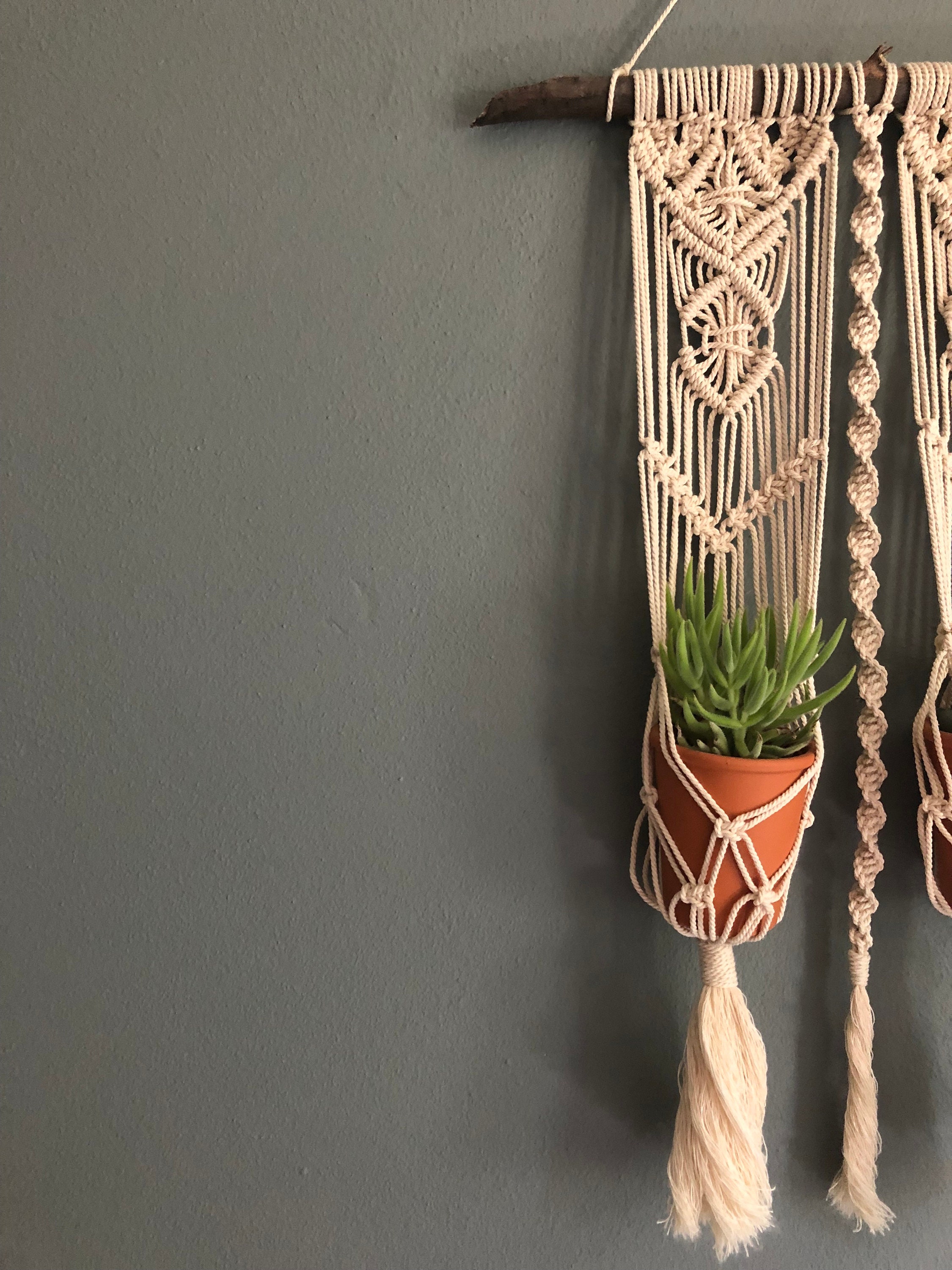 Macrame Plant Hanger Wall Hanging for Cactus Double Plant Etsy