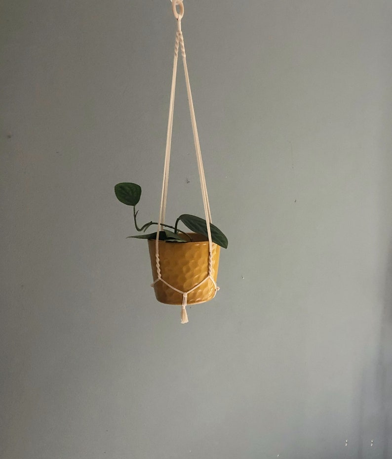 Small elegant macrame plant specialty shop hanger hanging propagation polkadot Max 49% OFF