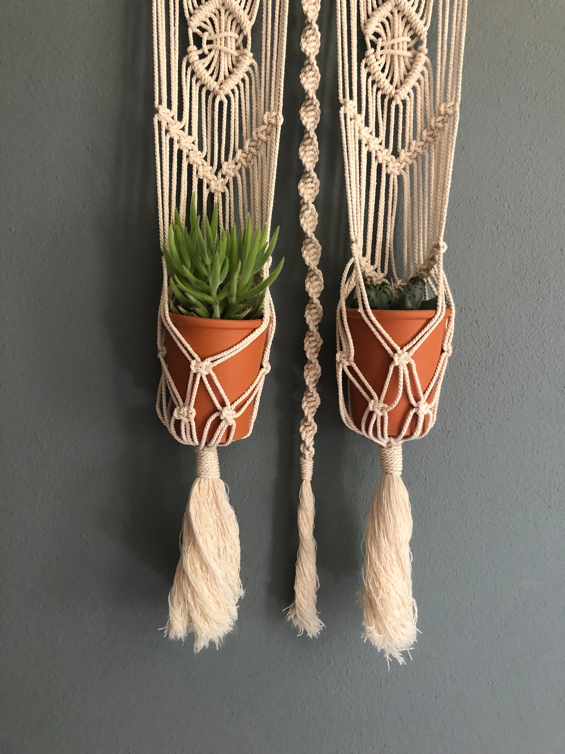 Macrame Plant Hanger Wall Hanging for Cactus Double Plant Etsy