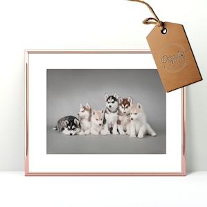 Obras de arte de Husky siberiano, Descarga digital, arte de pared imprimible, regalos de Husky siberiano, arte imprimible, cartel de Husky, impresión de arte para perros, decoración para perros