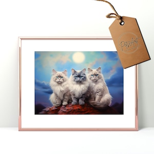 Oeuvre d'art de chat Ragdoll Art mural imprimable en téléchargement numérique Cadeaux de chat Ragdoll, affiche d'art Ragdoll imprimable, impression d'art de chat, décor de chat, chat drôle