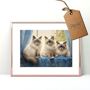Oeuvre d'art de chat Ragdoll Art mural imprimable en téléchargement numérique Cadeaux de chat Ragdoll, affiche d'art Ragdoll imprimable, impression d'art de chat, décor de chat, chat drôle
