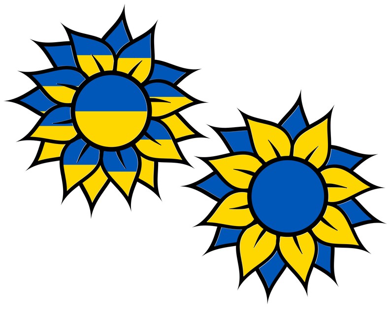 Girasol coloreado con bandera ucraniana  Ucrania  PNG  imagen 1