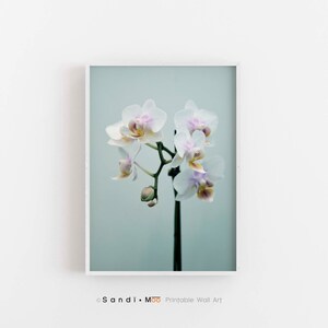 Orchid Print, Flower Photo Print , Floral Printable Wall Art Decor, Botanical Orchid Digital Download, Minimalist Orchid Poster