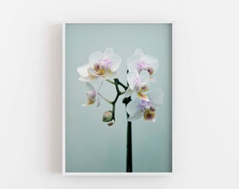 Orchid Print, Flower Photo Print , Floral Printable Wall Art Decor, Botanical Orchid Digital Download, Minimalist Orchid Poster